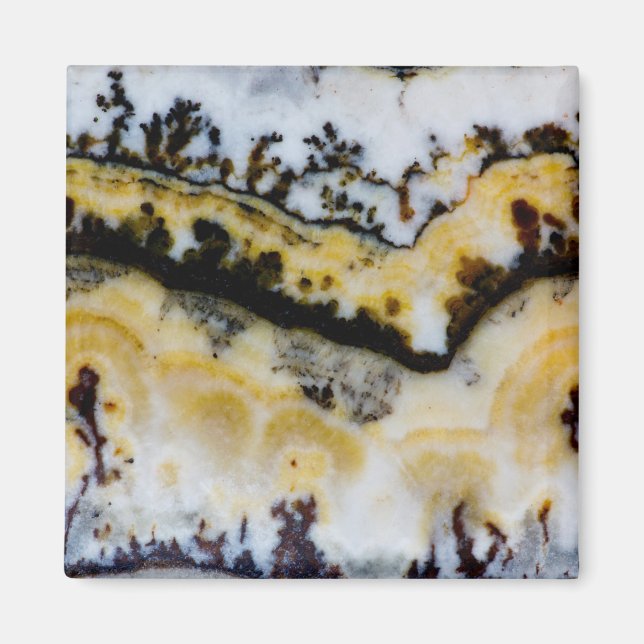 Silver Lace Onyx Magnet (Front)