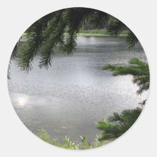 Silver Lake Framed by Evergreen Boughs Classic Round Sticker