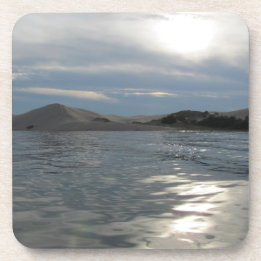 Silver Lake Sand Dunes Coaster
