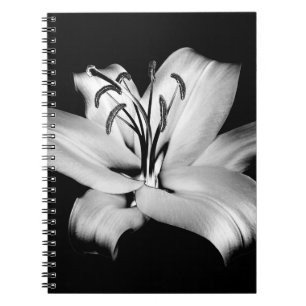 Silver Lily: Monochrome Floral Elegance. Notebook
