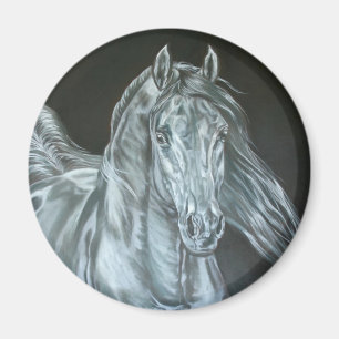Silver Magnet