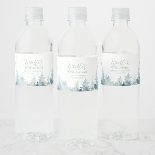 Silver & Mint Winter Wonderland 1st Birthday Party Water Bottle Label (Bottles)