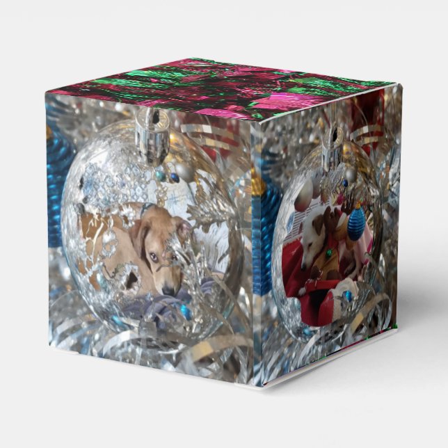 Silver Ornaments 4 Photo Favour Box (Back Side)