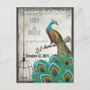 Silver Peacock Feathers Birdcage Save the Date Announcement Postcard