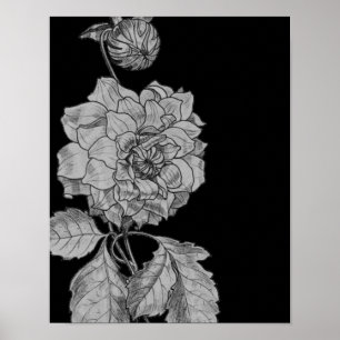 Silver Peony Flower On Black Floral Art Poster