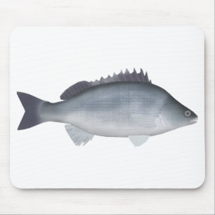 Silver Perch Mouse Mat
