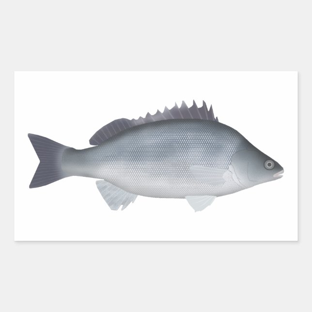 Silver Perch Rectangular Sticker (Front)