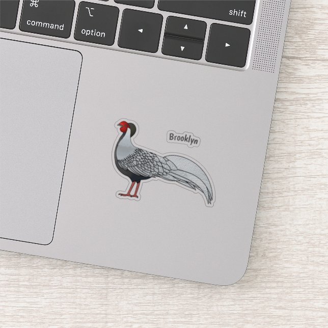 Silver pheasant bird cartoon illustration (Detail)