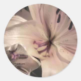 Silver Pink Lilly Wedding Invitation Seals
