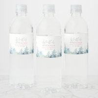 Silver & Pink Winter Wonderland Birthday Party