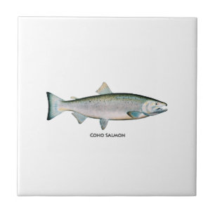 Silver Salmon (ocean phase) Tile
