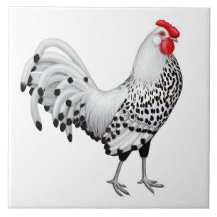 Silver Spangled Hamburg Rooster Tile