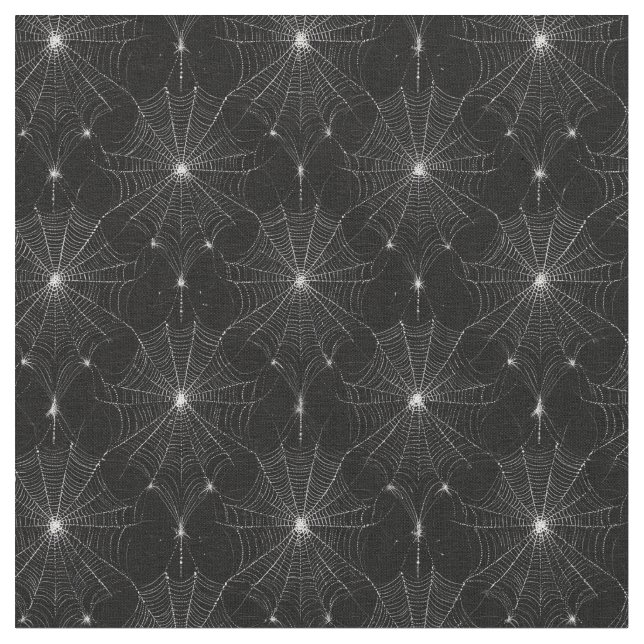 Silver Spiderweb Lace on Black  Fabric (Close Up)