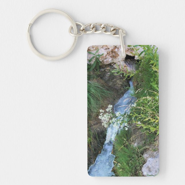 Silver spring key ring (Front)
