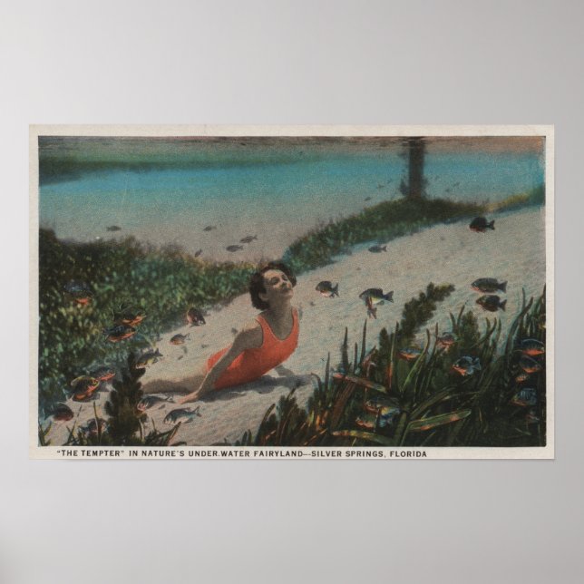 Silver Springs, FL - Woman Swimming Underwater Poster (Front)
