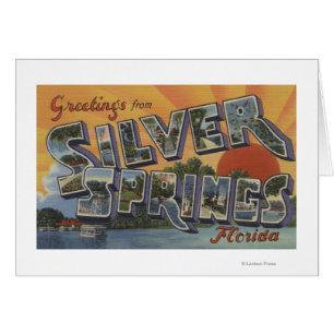 Silver Springs, Florida - Large Letter Scenes 2