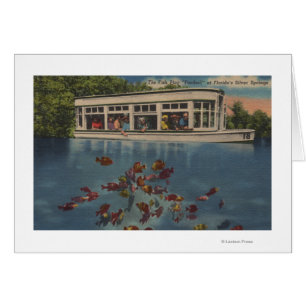 Silver Springs, Florida - View of Riverboat &