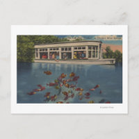 Silver Springs, Florida - View of Riverboat &
