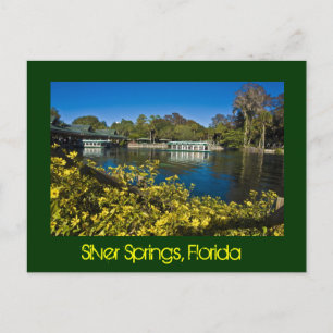 Silver Springs Nature Theme Park, Florida, U.S.A. Postcard