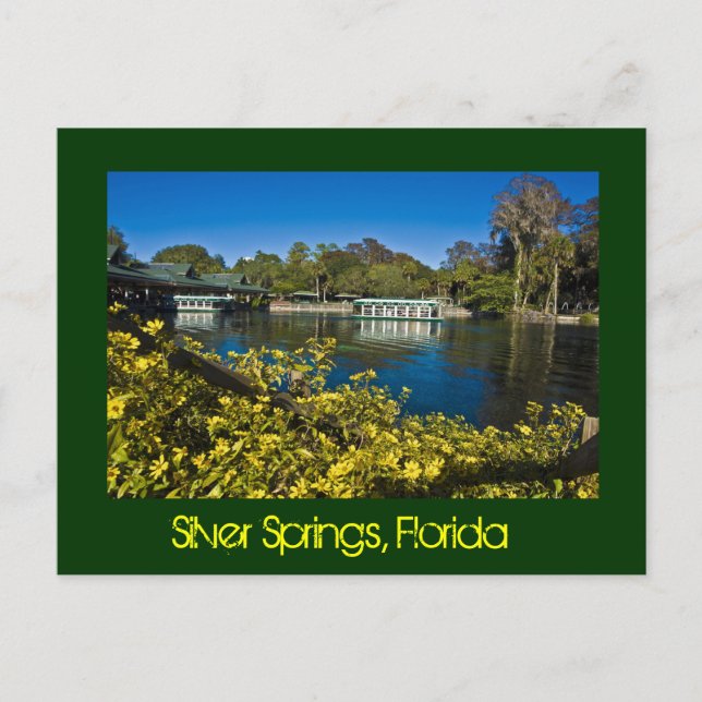 Silver Springs Nature Theme Park, Florida, U.S.A. Postcard (Front)