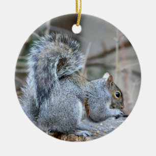 Silver Squirrel Ornament