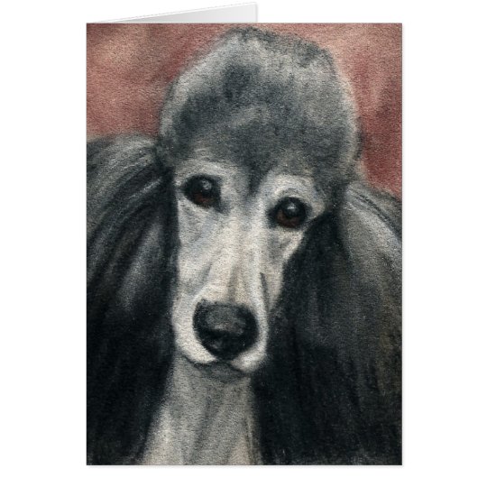 "Silver Standard Poodle" Dog Art Blank Notecards Card