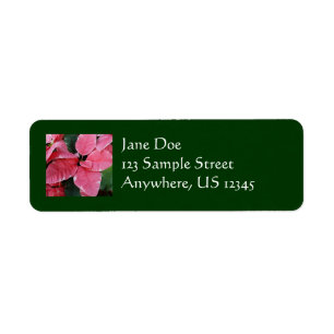 Silver Star Marble Poinsettias Pink Holiday Floral