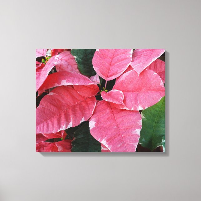 Silver Star Marble Poinsettias Pink Holiday Floral Canvas Print (Front)