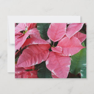 Silver Star Marble Poinsettias Pink Holiday Floral Card