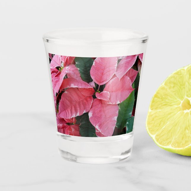 Silver Star Marble Poinsettias Pink Holiday Floral Shot Glass (Front)