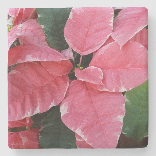 Silver Star Marble Poinsettias Pink Holiday Floral Stone Coaster (Front)