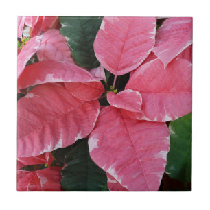 Silver Star Marble Poinsettias Pink Holiday Floral Tile