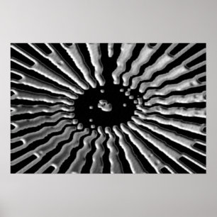 Silver Star - Solar Plexes Poster