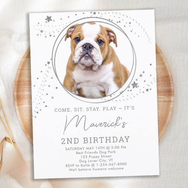 Silver Stars Dog Birthday Personalised Pet Photo Invitation Postcard (Creator Uploaded)