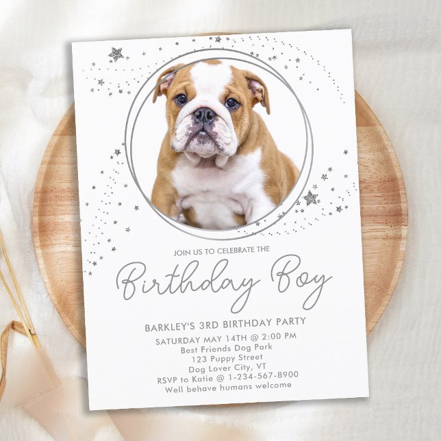 Silver Stars Personalised Pet Photo Dog Birthday Invitation Postcard (Creator Uploaded)