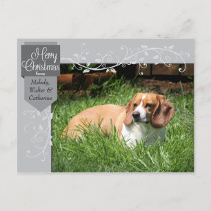 Silver Tab and Flourishes Christmas Photo Postcard