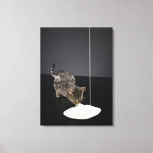 Silver tabby cat drinking cream from floor canvas print