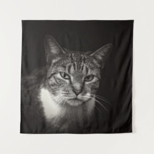 SILVER TABBY CAT TAPESTRY