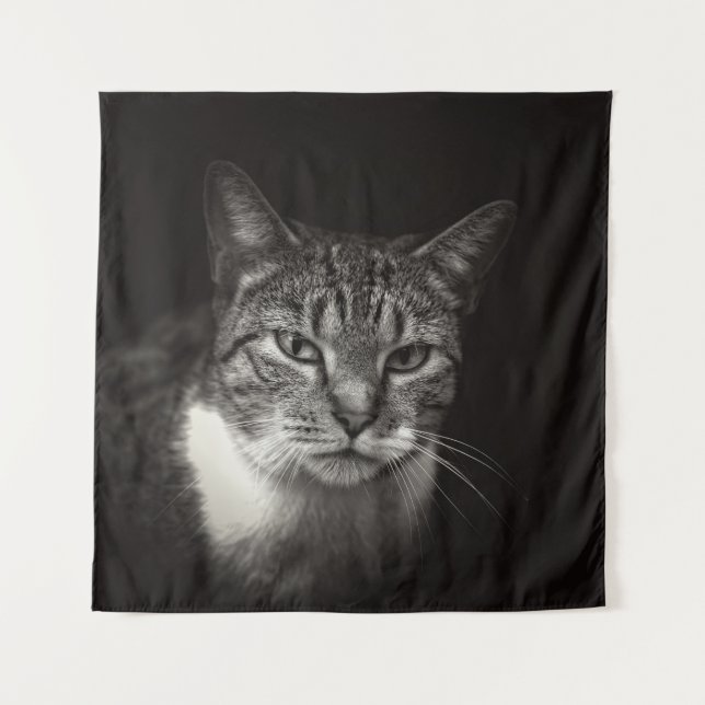 SILVER TABBY CAT TAPESTRY (Front)