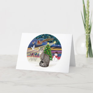 Silver Tabby - Christmas Magic Holiday Card