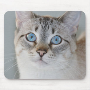 Silver Tabby Siamese Mouse Pad