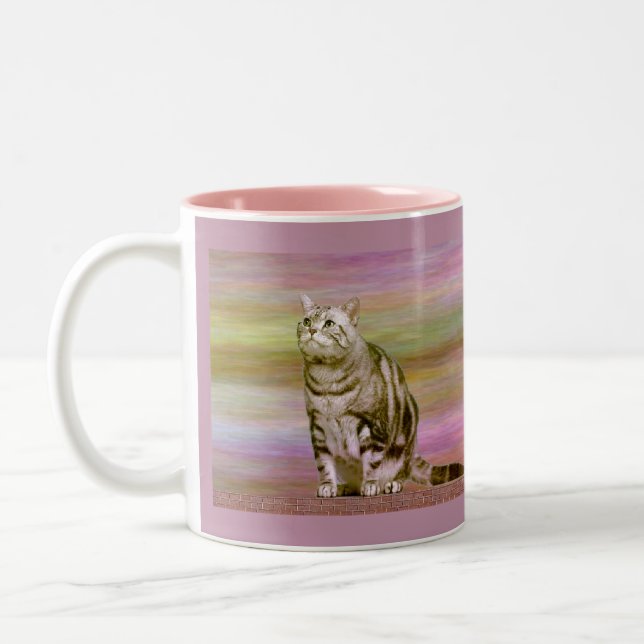 Silver Tabby Two-Tone Coffee Mug (Left)