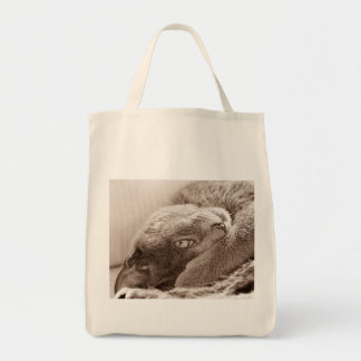 Silver the Cat Grocery Tote
