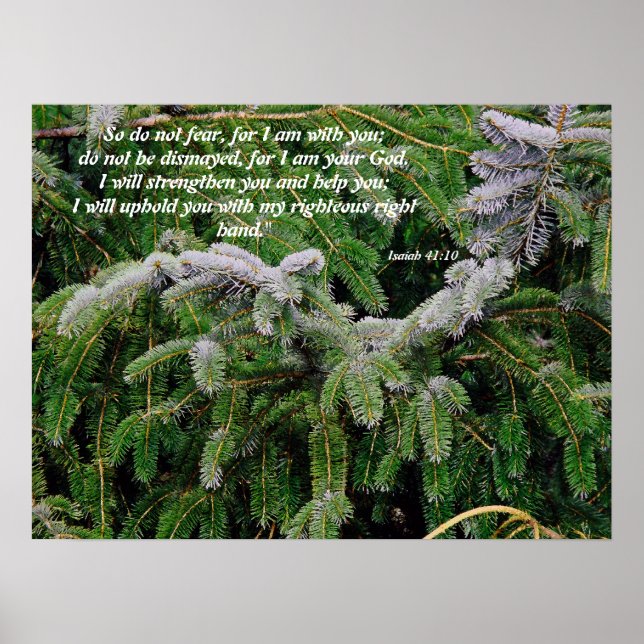 Silver Tip Fir Tree Isaiah 41:10 Print (Front)