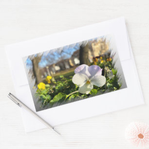Silver white pansy rectangular sticker