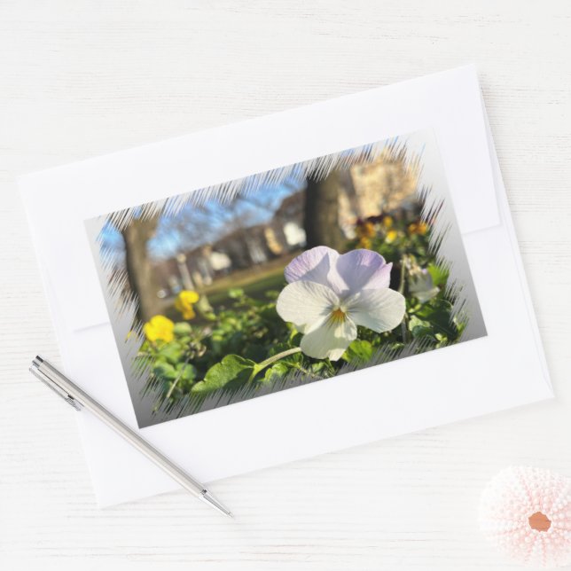Silver white pansy rectangular sticker (Envelope)