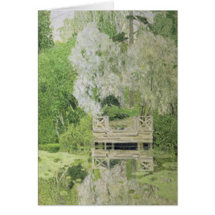 Silver White Willow, 1904
