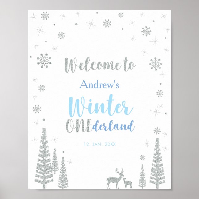 Silver Winter Boy Birthday Party Welcome Sign (Front)
