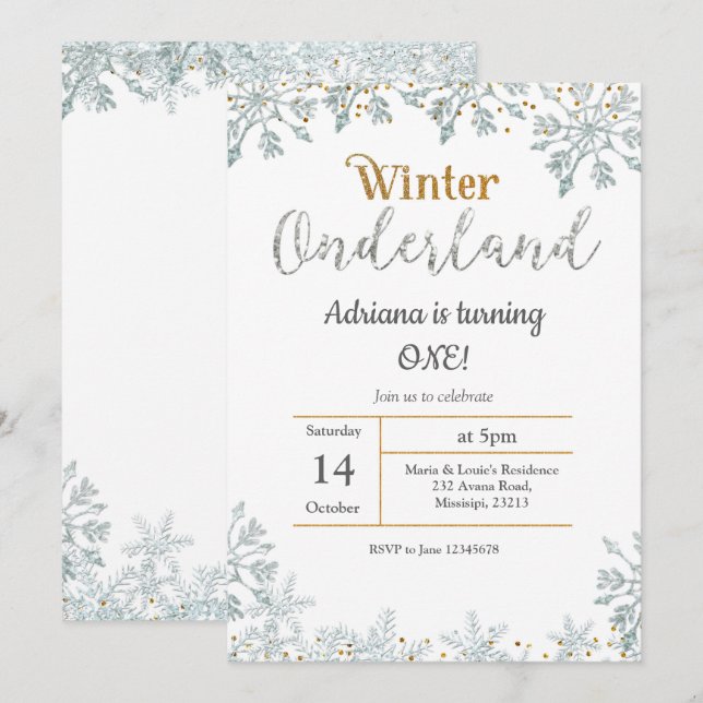 Silver Winter Onederland Birthday Invitation (Front/Back)