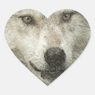 Silver Wolf Pencil Illustration Drawing Heart Sticker